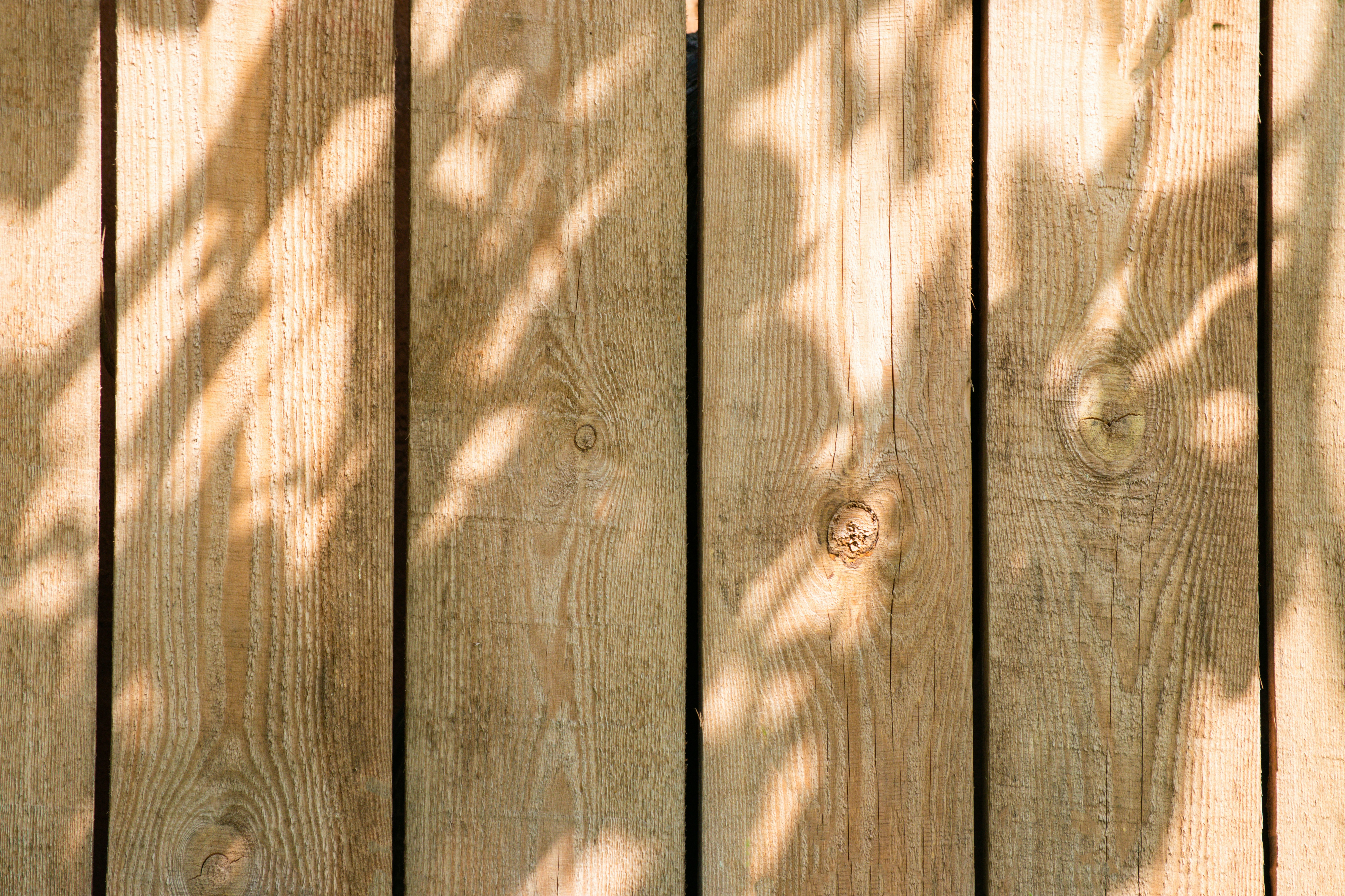 Timber texture in natural light