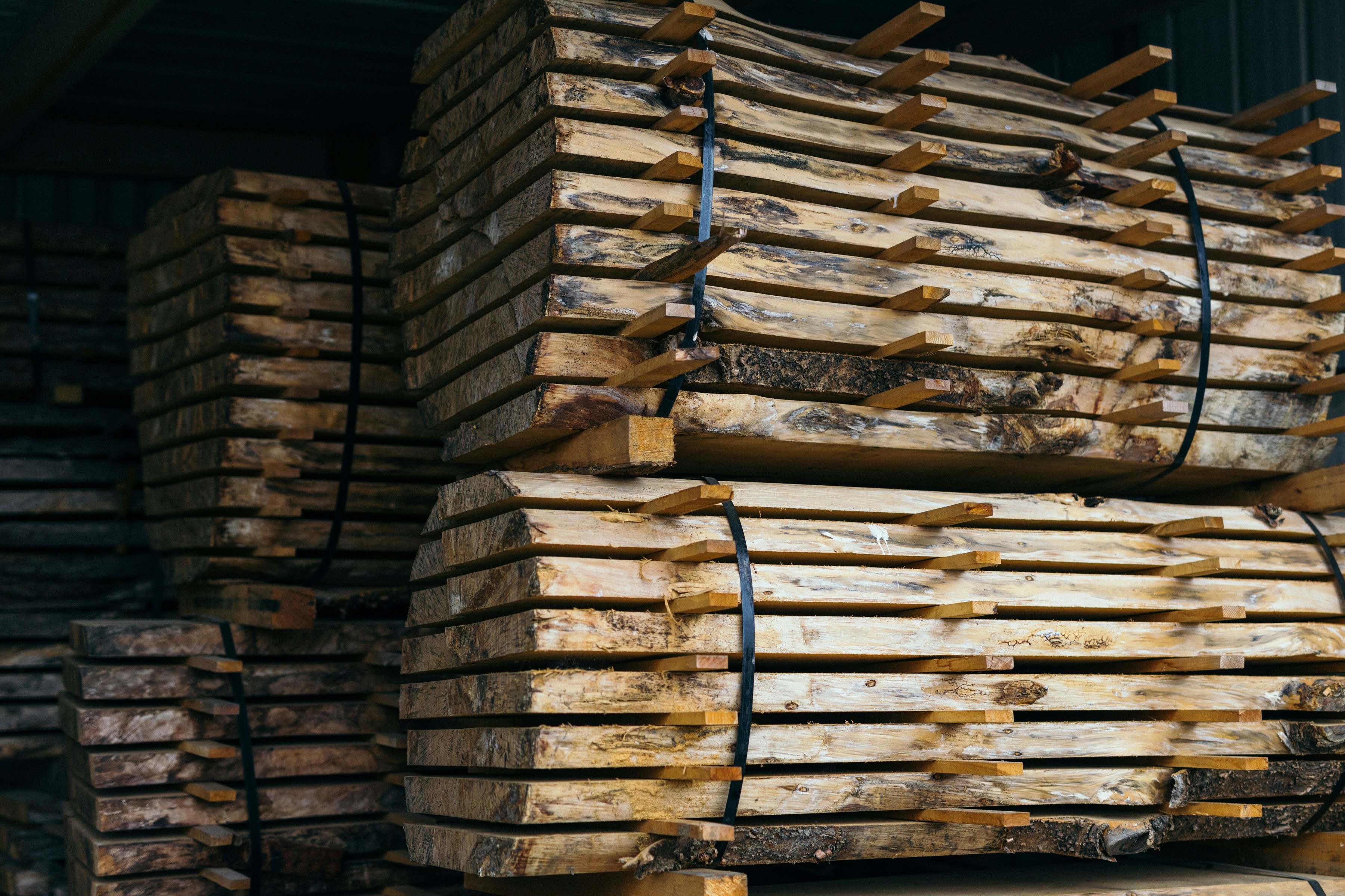 Stacked pine timber